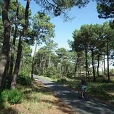 Maison La Palmyre, 3 pièces, 5 personnes - FR-1-305B-61 Hébergement de vacances *